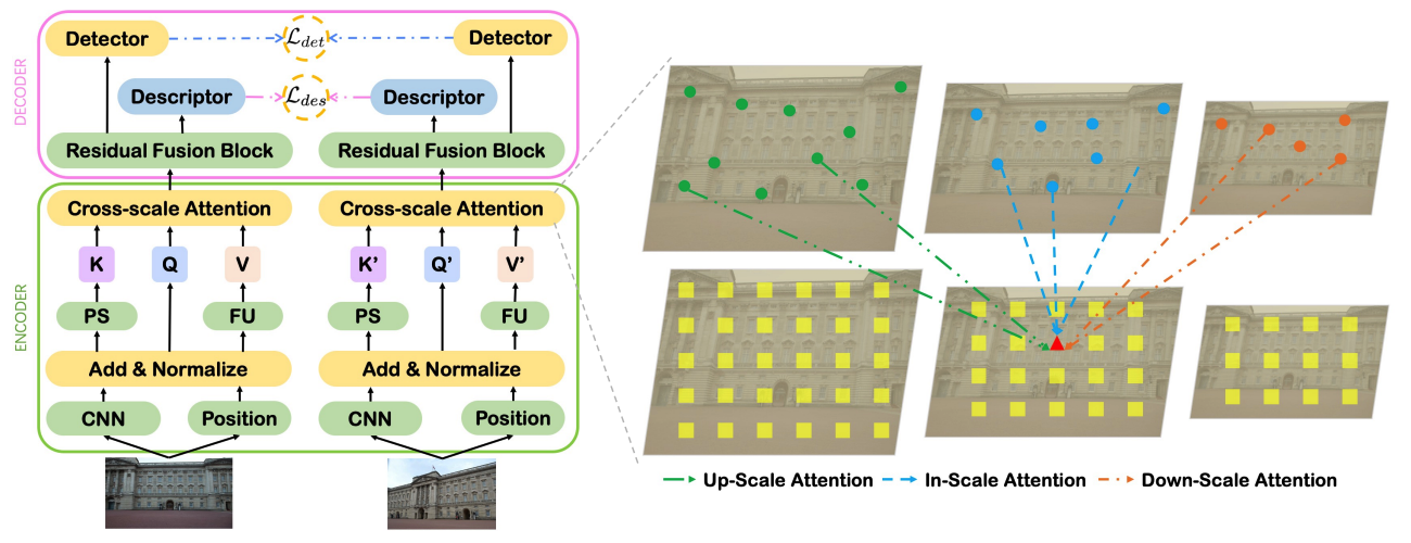Local Representation is NOT Enough: Soft Point-wise Transformer for descriptor and Detector of Local Features